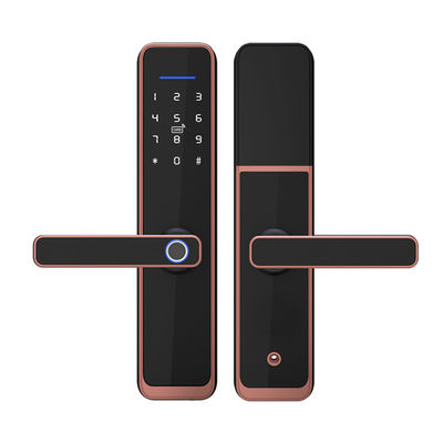 Biometrisches Fingerabdruck-Türschloss elektrisches Türschloss-Digital Tuya APP Smart Wifi